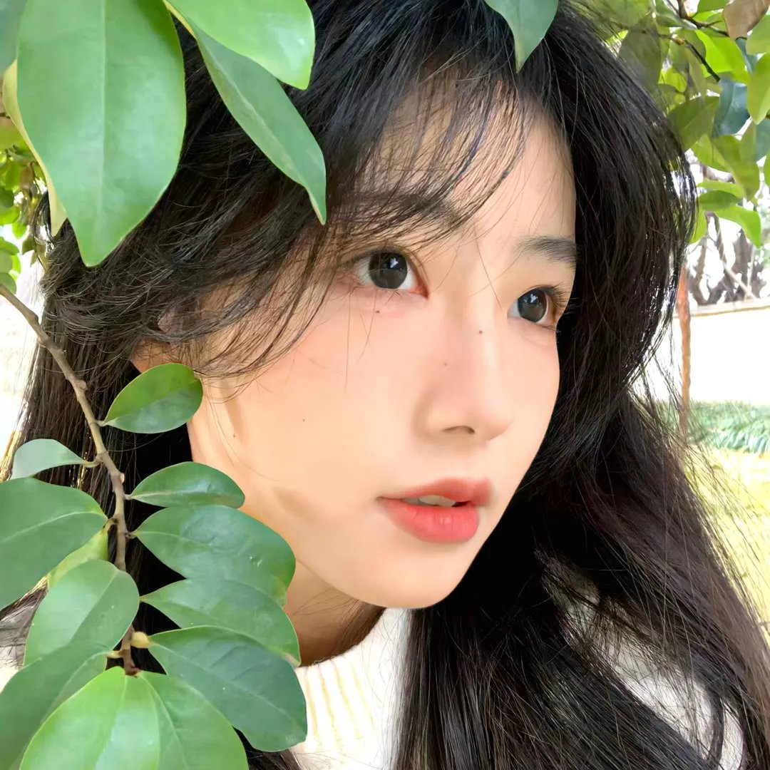 那个静默的阳光午后
