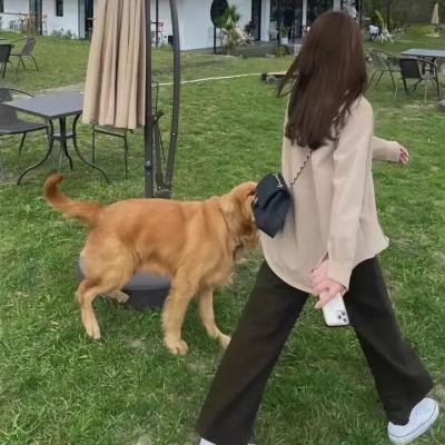 臭小子与美丽世界
